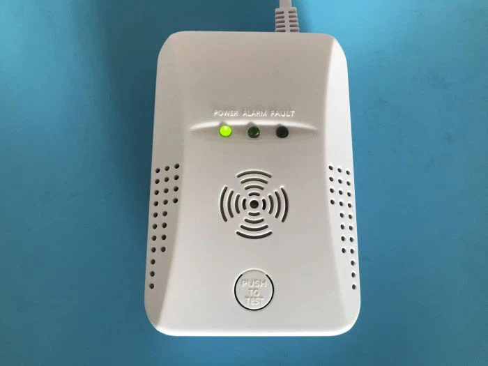 AC220V Methaan Propaan Brandbaar LNG LPG Aardgas Alarm Home Gas Detector