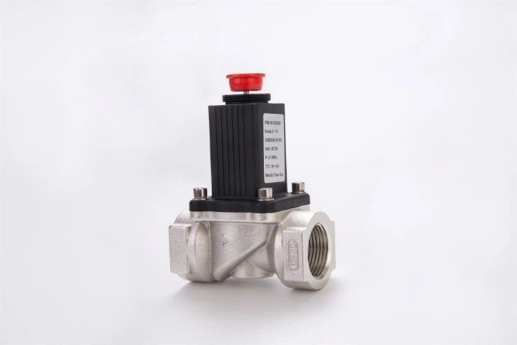 Anti-corrosie huishoudelijk Lpg aardgas noodstop solenoïde klep